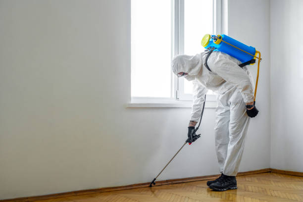 Best Wasp Removal Services  in Rushville, NE