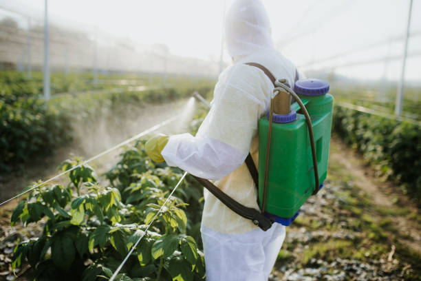 Best Commercial Pest Control Services  in Rushville, NE